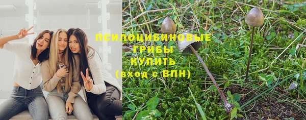 дживик Тихвин