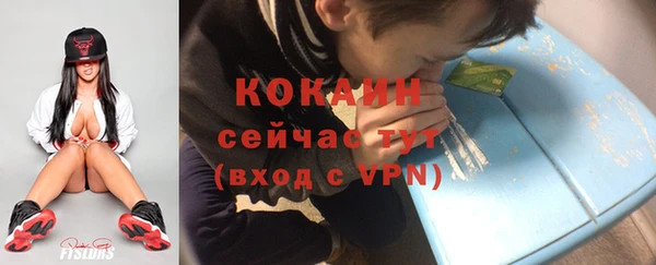 гашик Тобольск