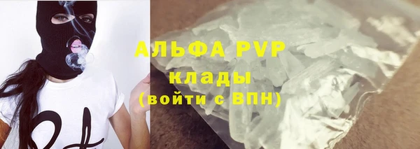 гашик Тобольск