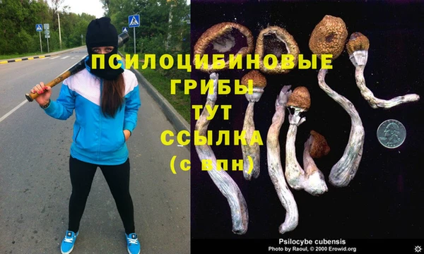 гашик Тобольск