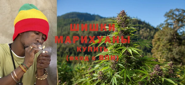 гашик Тобольск