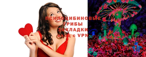 дживик Тихвин