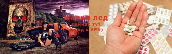 гашик Тобольск