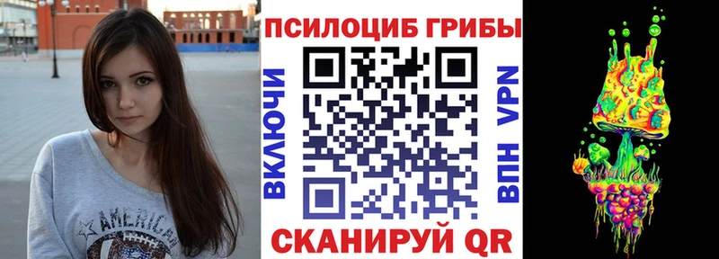 купить наркотик  Холм  Галлюциногенные грибы мицелий 